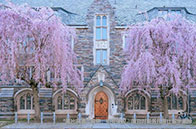 新加坡留學住宿費用多貴？