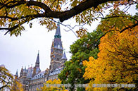 下月起！NUS設計與工程學院新院長上任