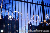 維克森林大學水不水？