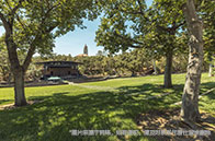 加州大學洛杉磯分校是藤校嗎？勝似！