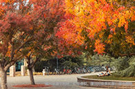 2025年CUG伯明翰大學英國排名上漲