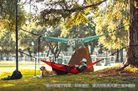 華盛頓大學西雅圖分校計算機排名變化