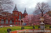 南洋理工大學分析碩士申請要求有哪些？