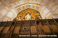 新躍社科大學(xué)稅務(wù)碩士學(xué)費多少錢？