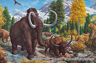 格拉斯哥大學電氣工程專業介紹