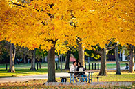 阿爾伯塔大學土木工程專業學費多少錢？