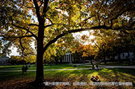 新加坡學位等級劃分有哪些？