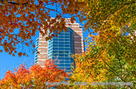 英國金融碩士留學一年費用多少錢？