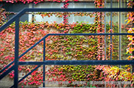 新加坡私立大學含金量解析