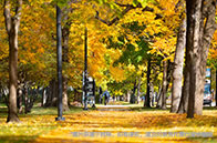 南洋理工大學化學與生物工程專業學什么？