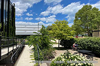 去加拿大留學需要多少錢？