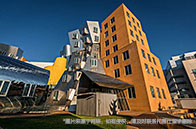 分享|紐約大學在讀學生評價