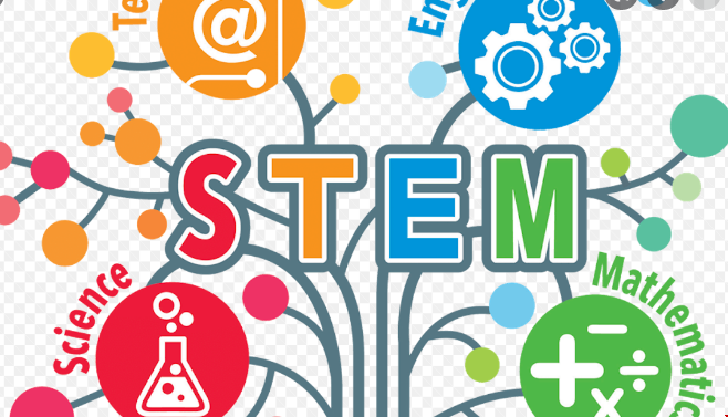 美國STEM學位如何.png