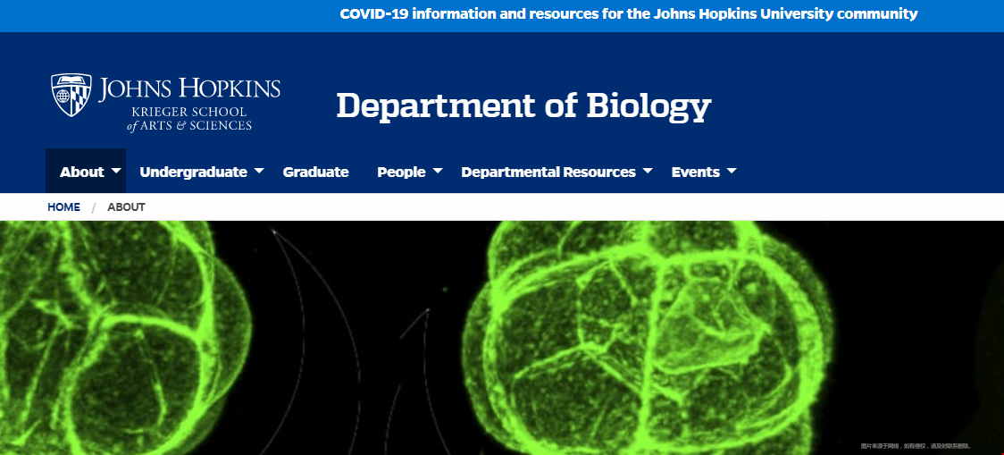 約翰霍普金斯大學生物學專業.png