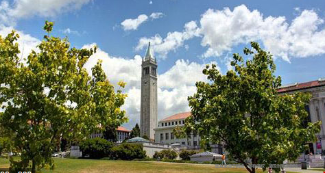 加州大學伯克利分校強勢專業(yè).png