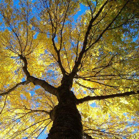 達特茅斯學院怎么申請.jpg 達特茅斯學院.jpg