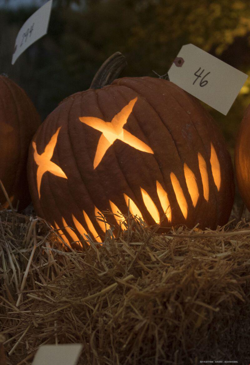 1658478625600723.jpg 大學3.jpg