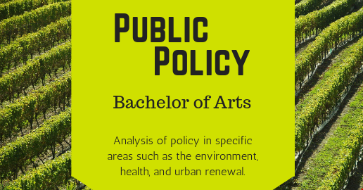 美國本科公共政策專業(yè).png