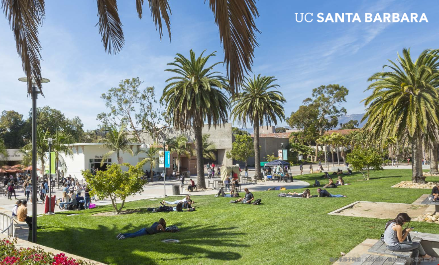 ucsb大學本科.png