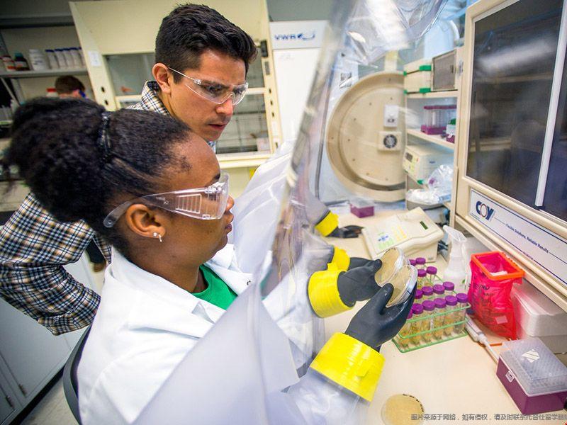 杜蘭大學材料科學與工程專業.jpg 杜蘭大學材料科學與工程專業.jpg