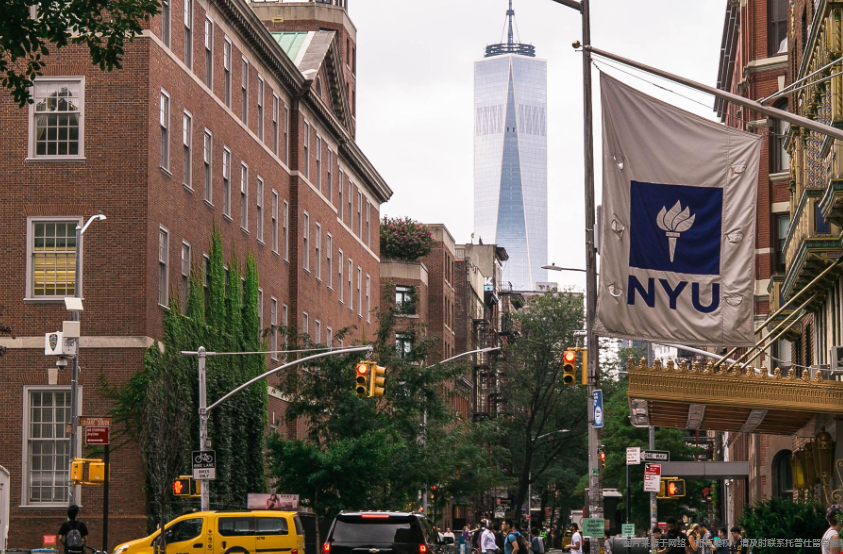 紐約大學院系和專業.png