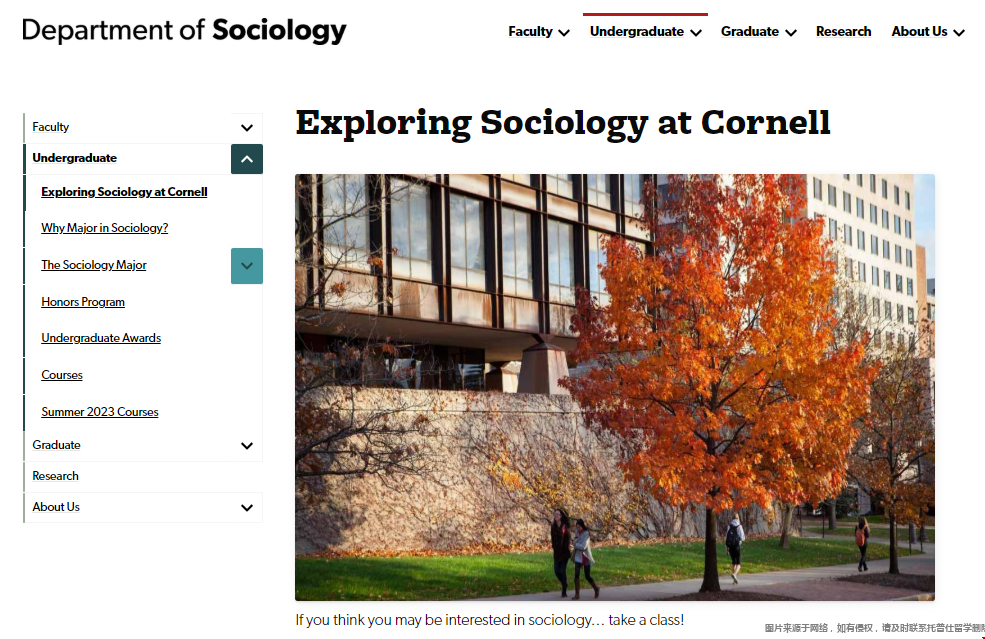 康奈爾大學(xué)本科社會(huì)學(xué).png