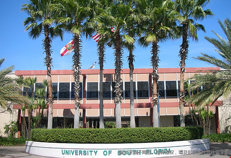 佛羅里達大學