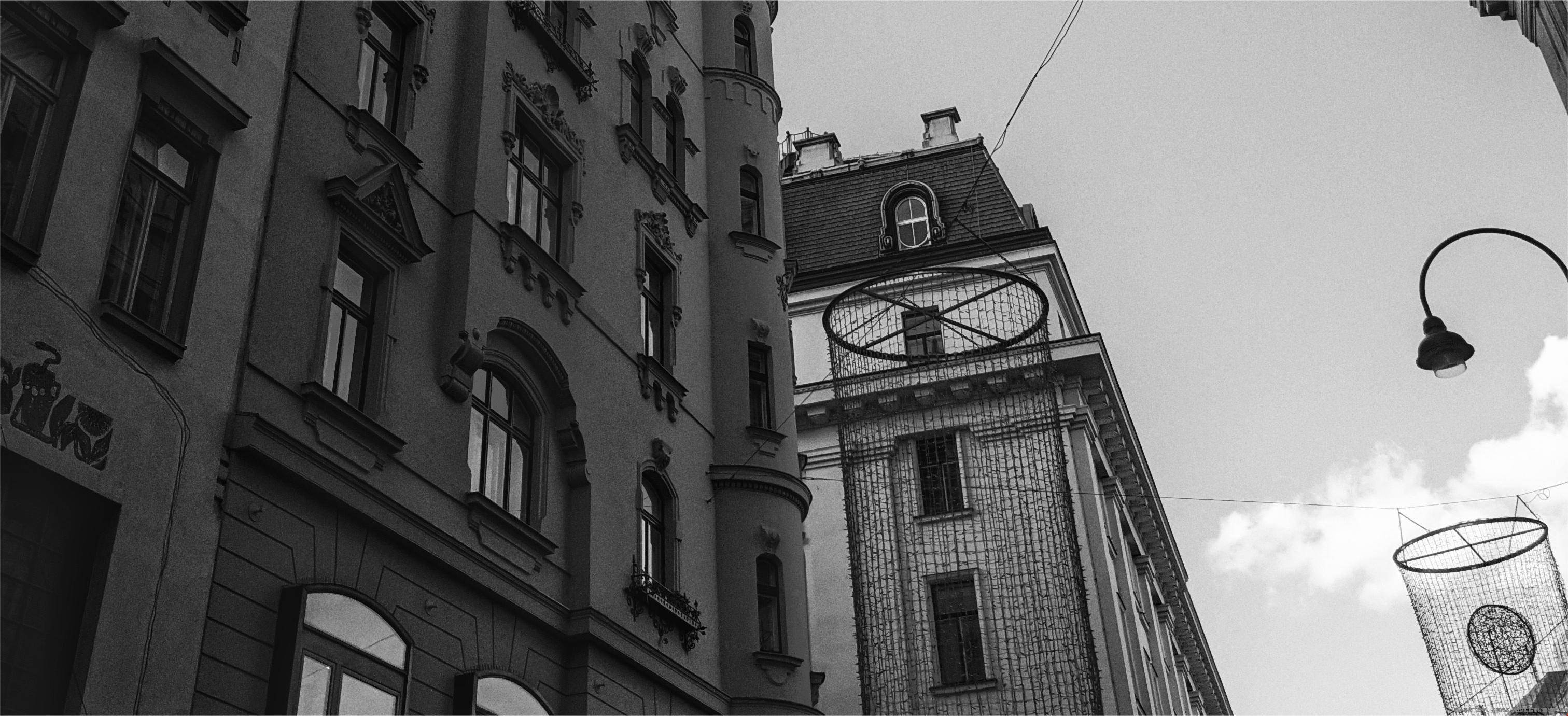 美國管理學項目分支 美國管理學項目分支