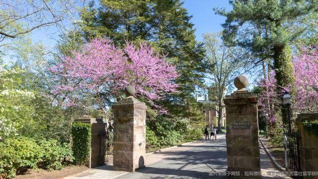 普林斯頓大學金融學碩士課程設置 普林斯頓大學金融學碩士課程設置