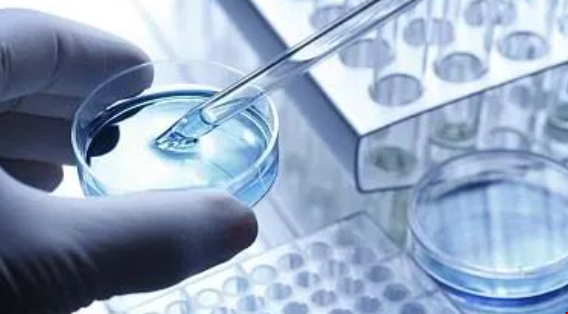 美國生物醫(yī)學工程專業(yè)研究方向