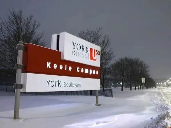 加拿大約克大學錄取標準 約克大學