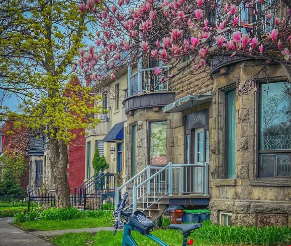 蒙特利爾大學.png 蒙特利爾大學.png