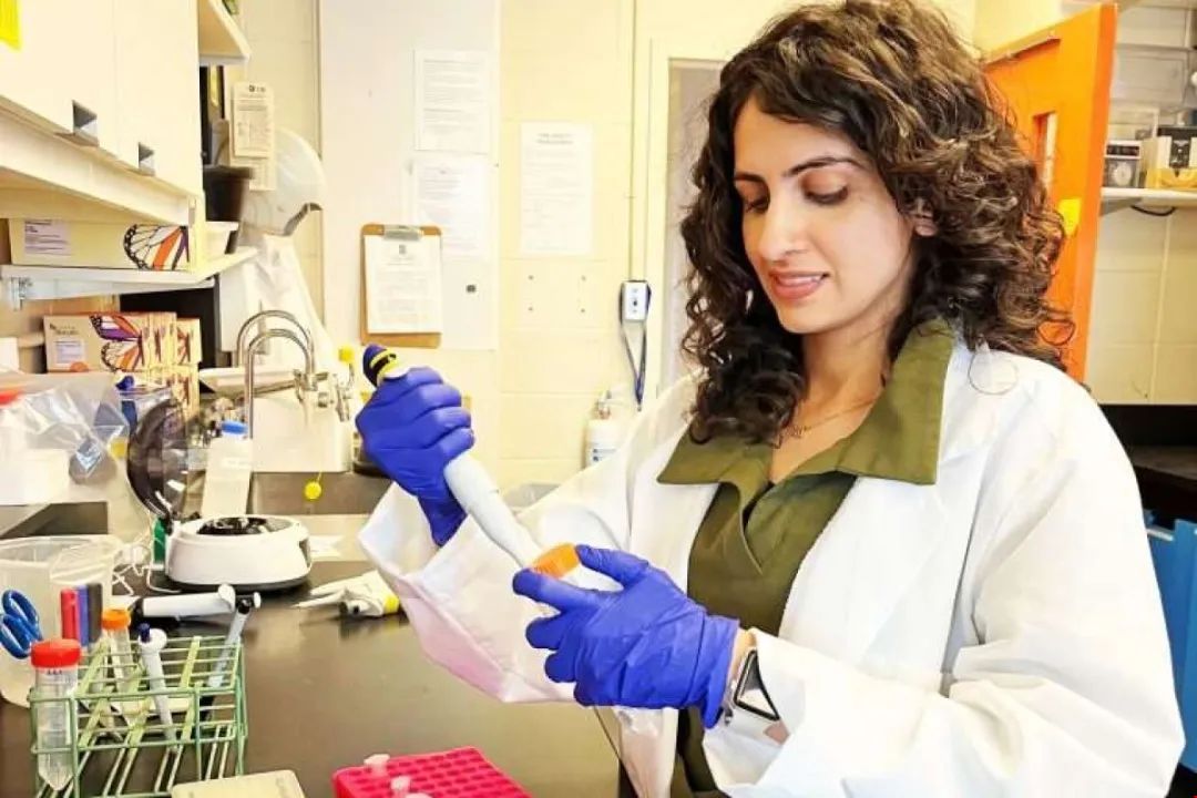 加拿大女王開創乳腺癌治療監測新技術.jpg 加拿大女王開創乳腺癌治療監測新技術.jpg