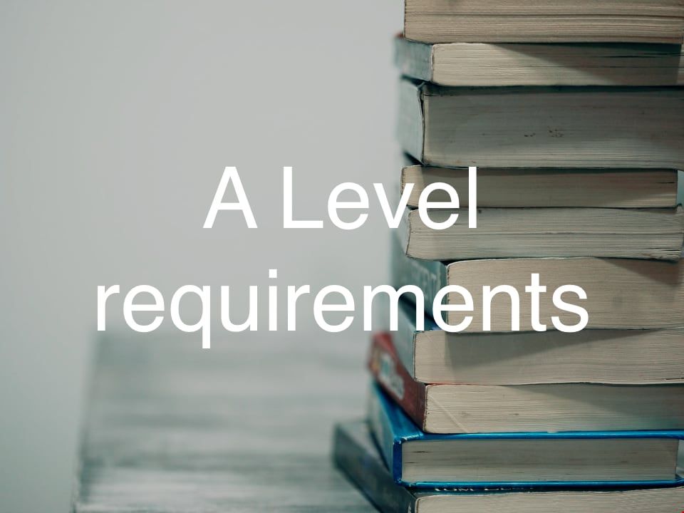 英國學校alevel要求.jpg
