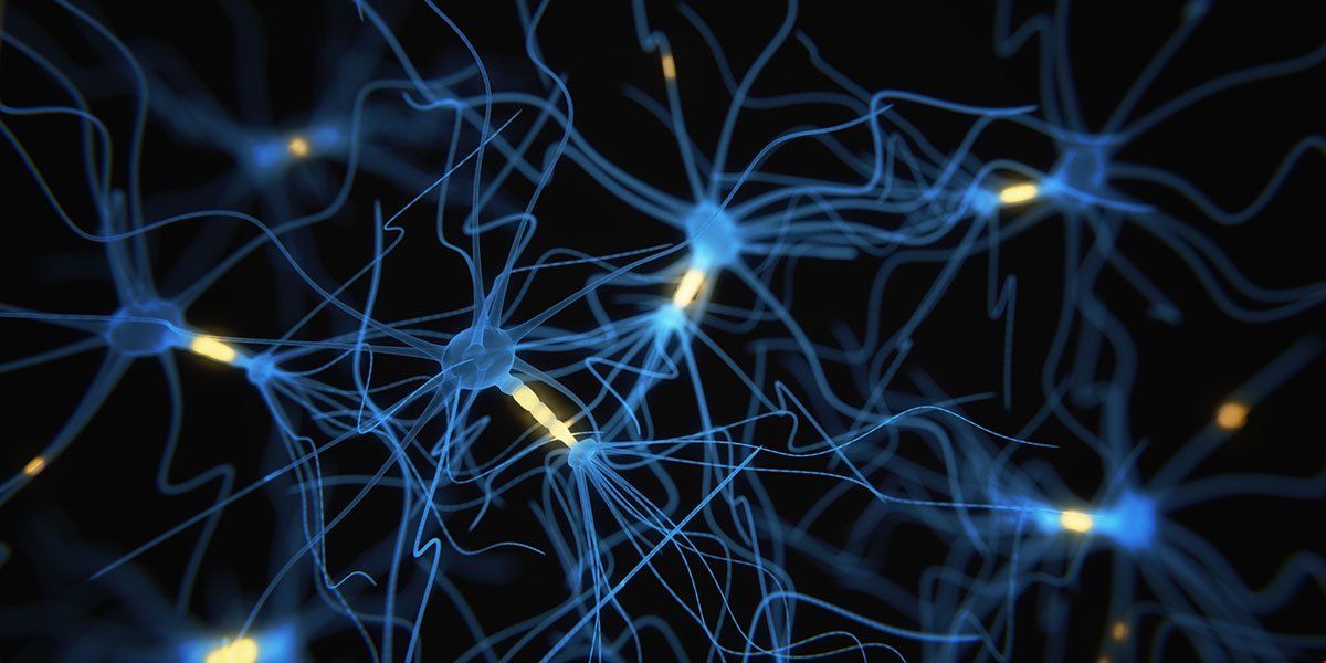 伯明翰大學(xué)腦像和認(rèn)知科學(xué)研究生.jpg 伯明翰大學(xué)腦像和認(rèn)知科學(xué)研究生.jpg