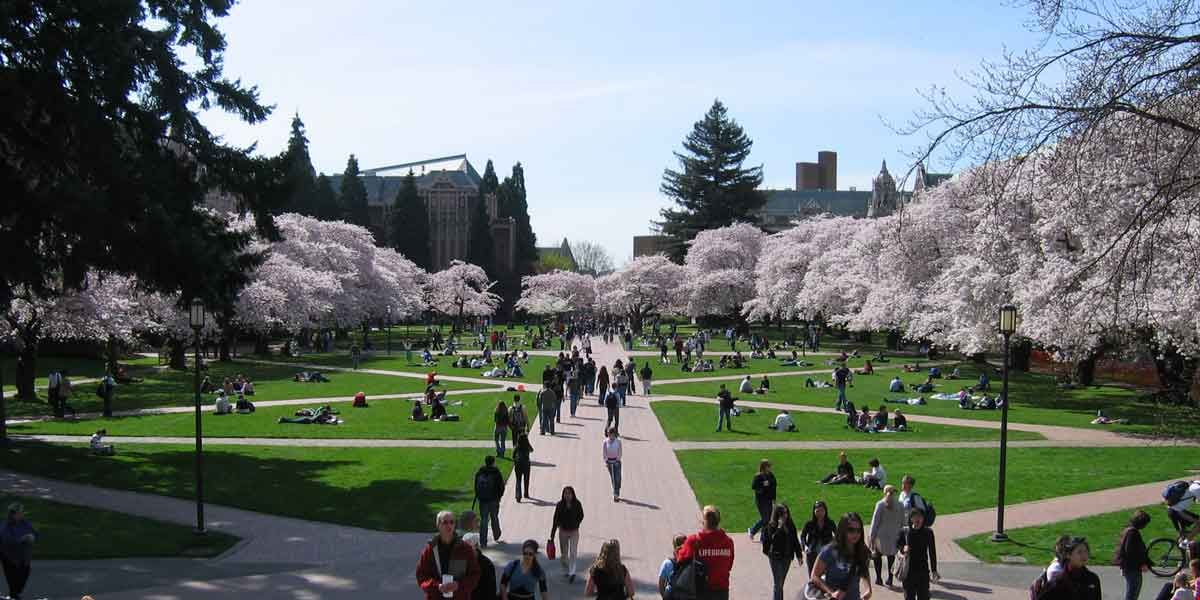 華盛頓大學西雅圖分校.jpg 華盛頓大學西雅圖分校.jpg