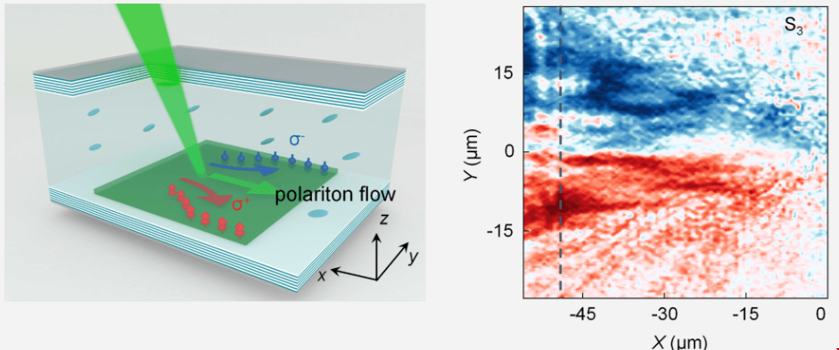 極化子的自旋過濾器.png 極化子的自旋過濾器.png