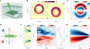極化子自旋霍爾效應(yīng).png 極化子自旋霍爾效應(yīng).png