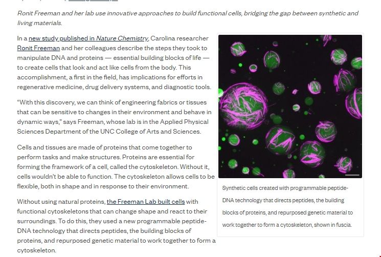 UNC研發出像活細胞的人造細胞.png UNC研發出像活細胞的人造細胞.png