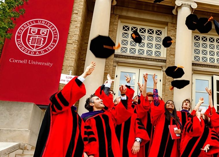 康奈爾大學(xué)畢業(yè)生.png 康奈爾大學(xué)畢業(yè)生.png