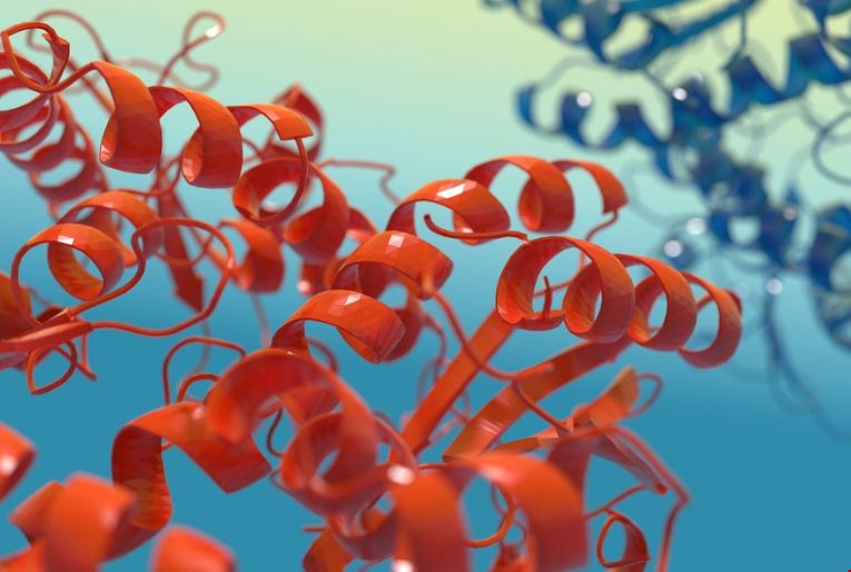 MIT研究發(fā)現(xiàn)蛋白質(zhì)有助開發(fā)新的抗生素.png MIT研究發(fā)現(xiàn)蛋白質(zhì)有助開發(fā)新的抗生素.png